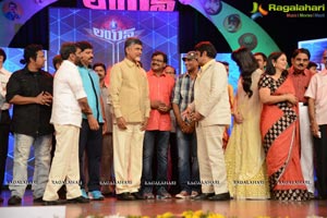 Lion Audio Release