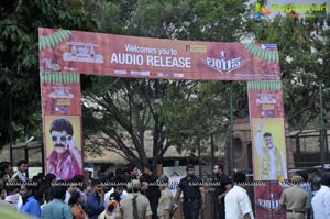 Lion Audio Release