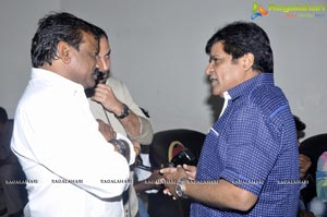 Lion Audio Release