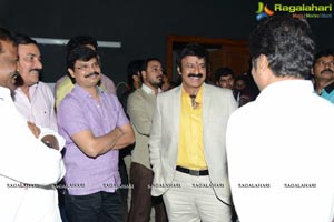 Lion Audio Release