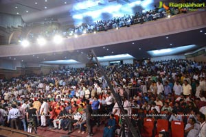 Lion Audio Release