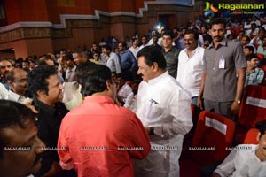 Lion Audio Release