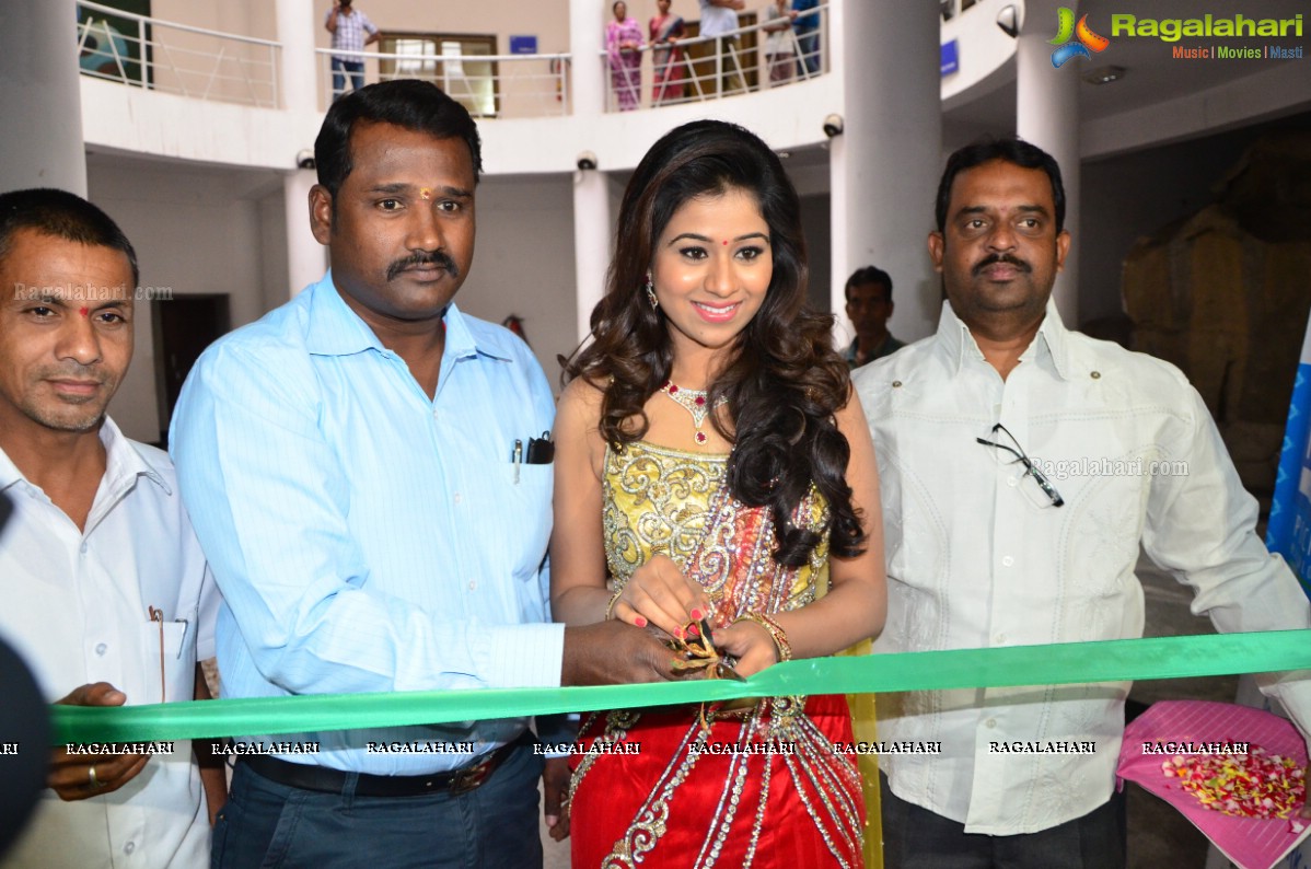 Manali Rathod launches Pochampally IKAT Art Mela 2015