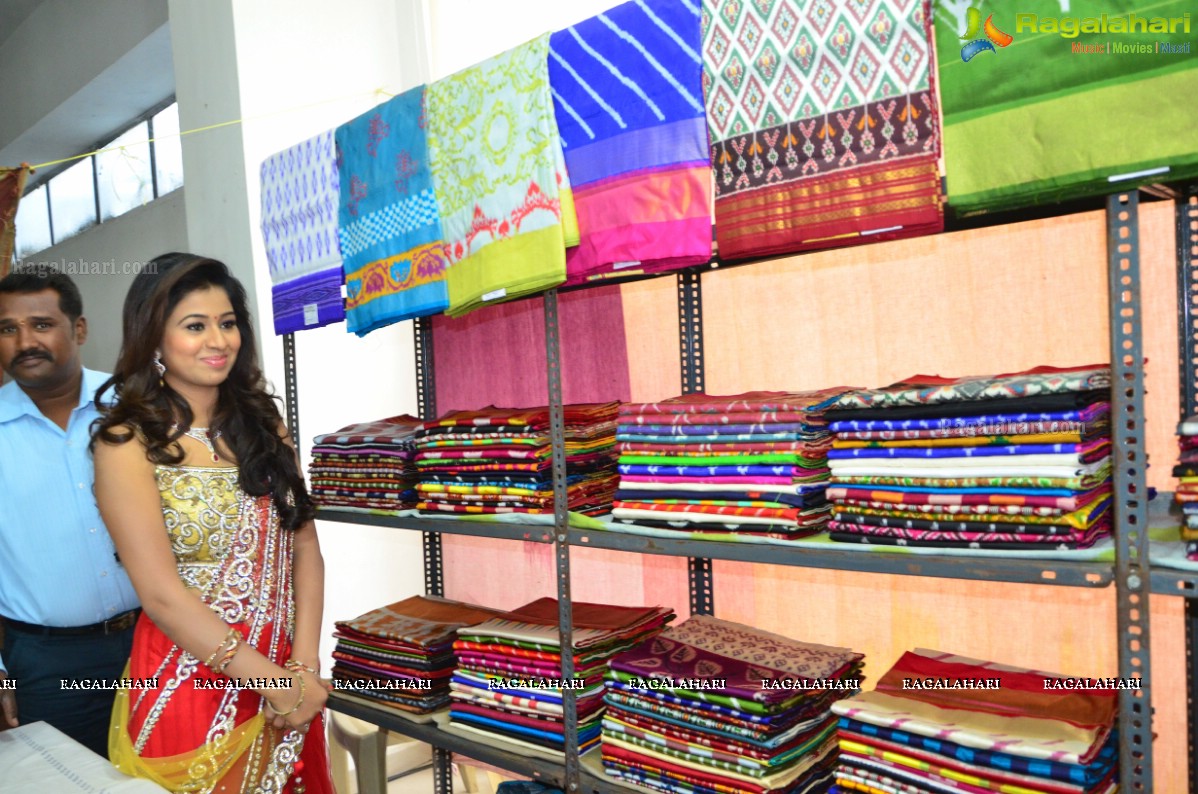 Manali Rathod launches Pochampally IKAT Art Mela 2015