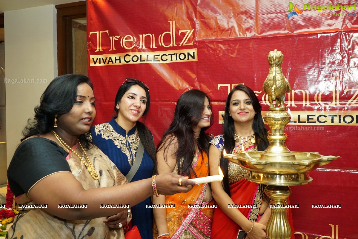 Trendz Vivah Expo at Taj Krishna, Hyderabad