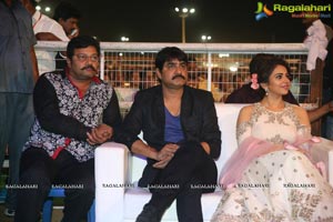 Sarrainodu Pre-Release Event