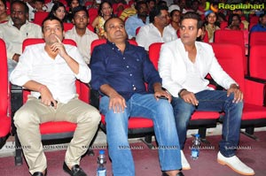 Telugu Cinema Supreme Audio Release