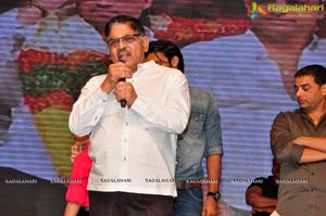 Telugu Cinema Supreme Audio Release
