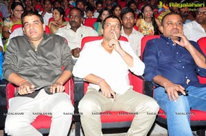 Telugu Cinema Supreme Audio Release