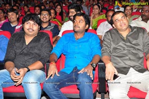 Telugu Cinema Supreme Audio Release