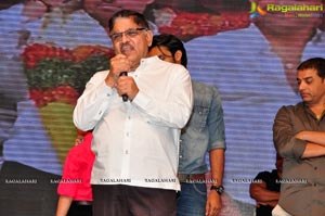 Telugu Cinema Supreme Audio Release