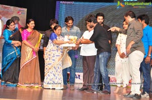 Telugu Cinema Supreme Audio Release