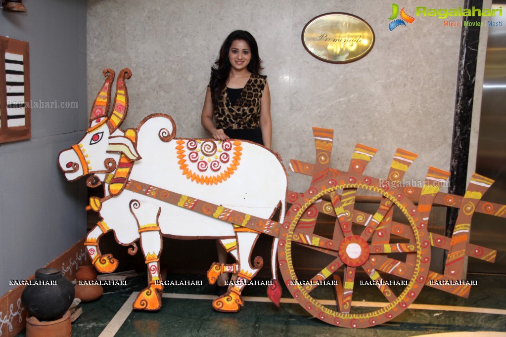 Reshma Rathore at NH-65 - A Telugu Food Festival at Hotel Aditya Park, Hyderabad