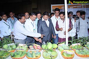 Agriculture Horticulture Technology