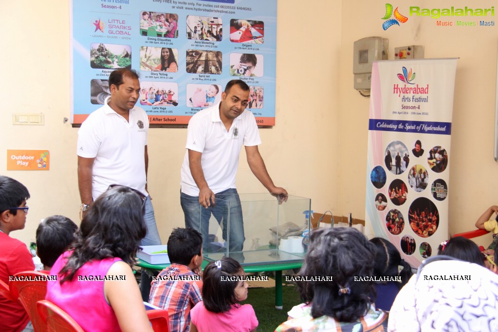 Workshop on Aquascaping for Kids at Little Sparks Global, Hyderabad