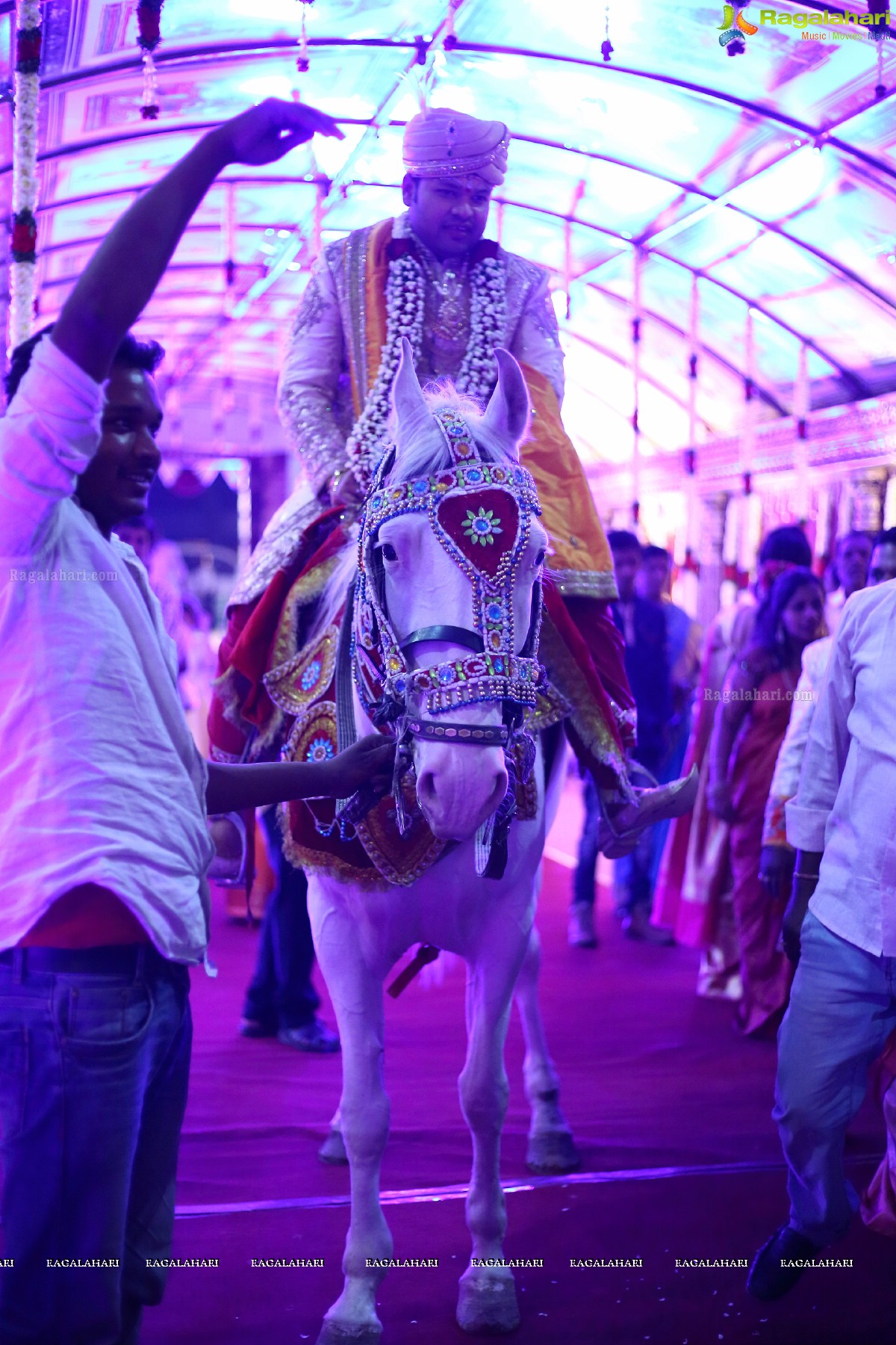 Grand Wedding Ceremony of Gowni Srikanth Goud with Cheepi Sudheesha, Hyderabad