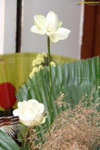 Ikebana International Hyderabad Chapter