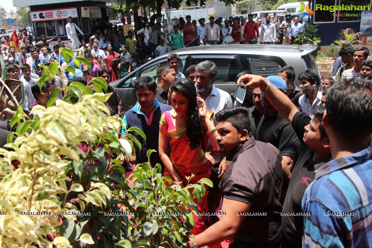 Grand Launch of Mangalam in Hyderabad