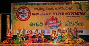 New Jersey Telugu Association