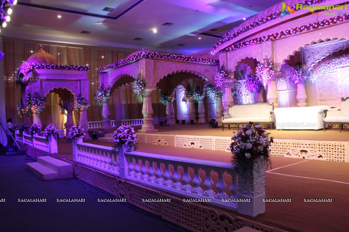 Grand Wedding Reception of Majid Ali-Sana Ali at SS Gardens