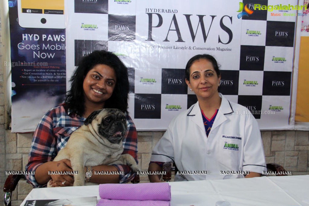 Hyderabad Paws Organizes A Talk On Tick Fever in Dogs - Shailaja of Paws and Dr.Lakshmi Interacts with Media