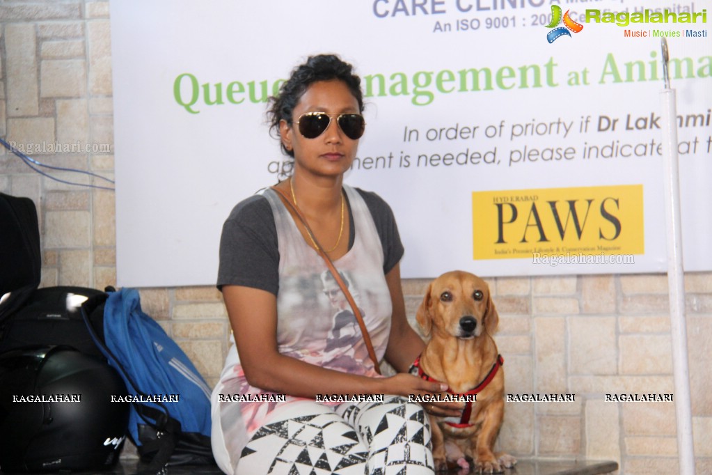 Hyderabad Paws Organizes A Talk On Tick Fever in Dogs - Shailaja of Paws and Dr.Lakshmi Interacts with Media