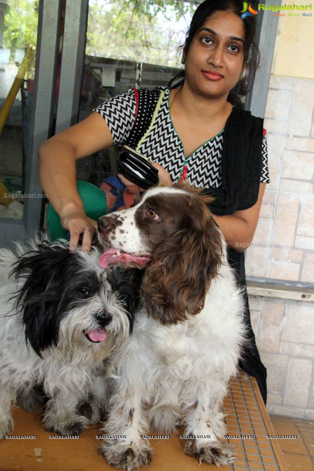 Hyderabad Paws Organizes A Talk On Tick Fever in Dogs - Shailaja of Paws and Dr.Lakshmi Interacts with Media