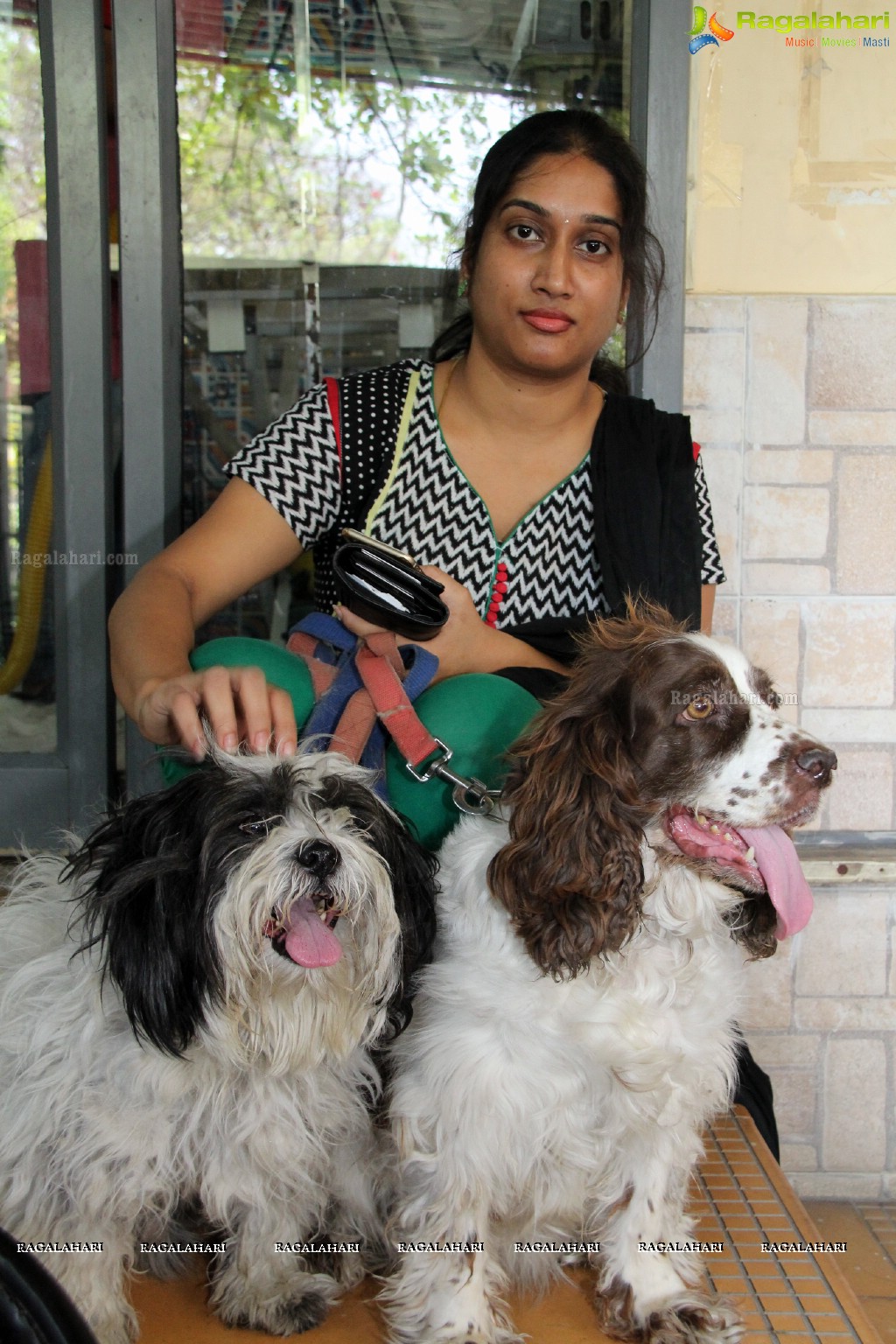 Hyderabad Paws Organizes A Talk On Tick Fever in Dogs - Shailaja of Paws and Dr.Lakshmi Interacts with Media