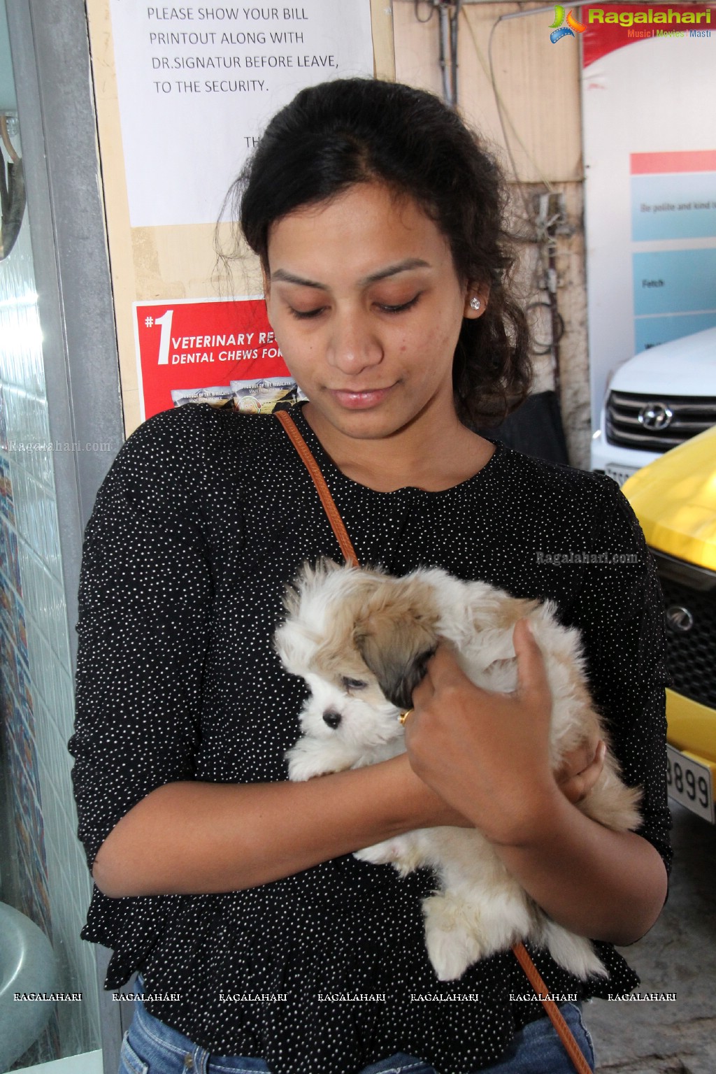 Hyderabad Paws Organizes A Talk On Tick Fever in Dogs - Shailaja of Paws and Dr.Lakshmi Interacts with Media