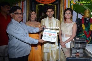 Allu Sirish-Seerat Kapoor-Surbhi