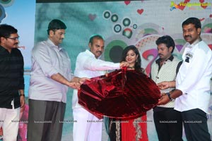 Bava Maradalu Audio Release