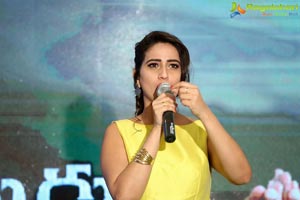 Gajendrudu Audio Release