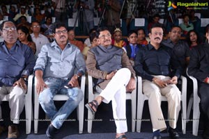 Pilichina Palukuthavani Audio Release