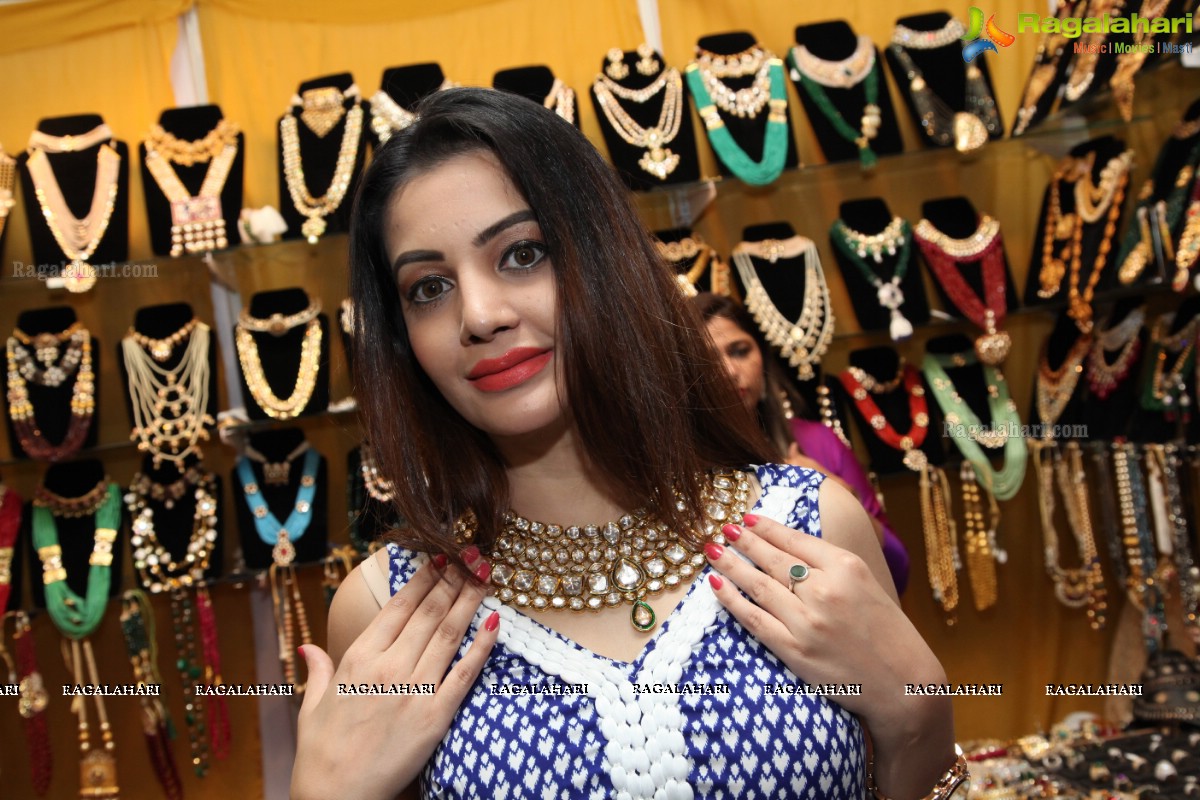 Diksha Panth inagurates Sashi Nahata's Akritti Elite Exhibition & Sale (April 2017) at Park Hyatt, Hyderabad