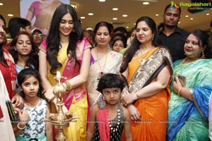 Adah Sharma Saree Niketan