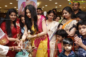 Adah Sharma Saree Niketan