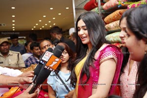 Adah Sharma Saree Niketan