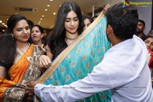 Adah Sharma Saree Niketan