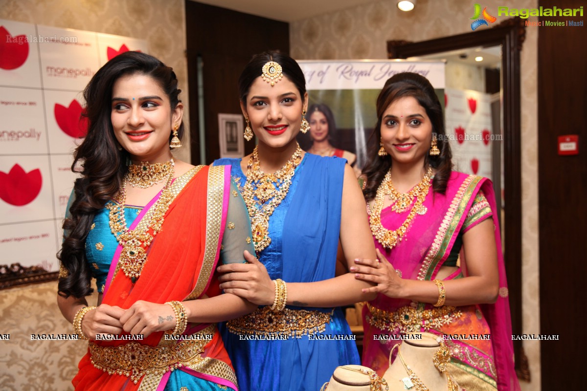 Akshaya Tritiya 2017 Jewellery Collection Launch at Manepally Jewellers, Hyderabad