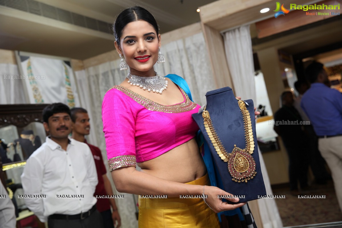 Angana Roy launches Jewellery Fashion Show of The Jewellery Expo at Taj Krishna, Hyderabad