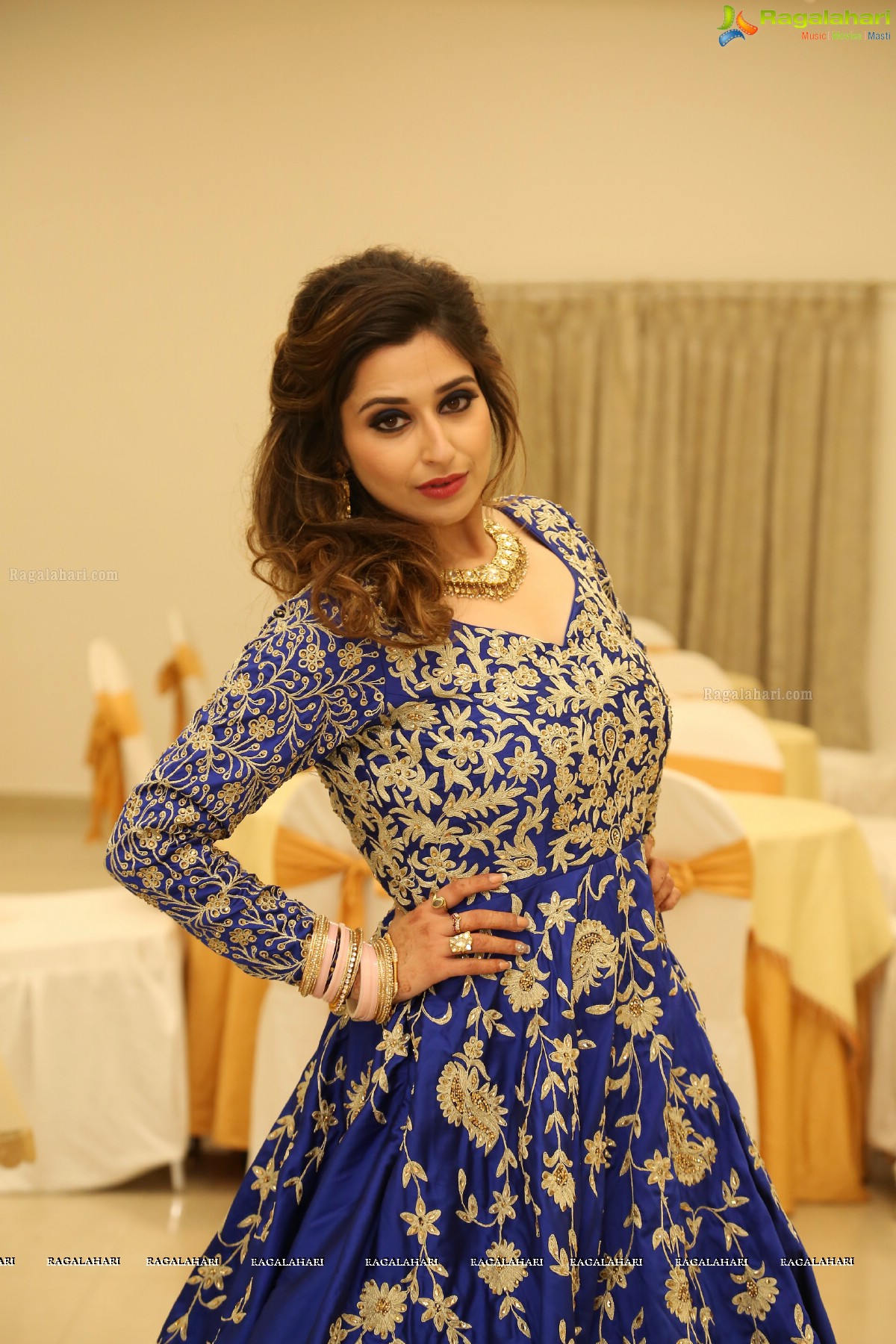 Grand Reception of Gurinder and Harleen at Ashiana Banquets, Road #1, Banjara Hills, Hyderabad