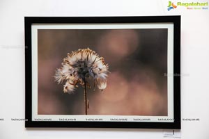 Hamstech Photography Exhibition