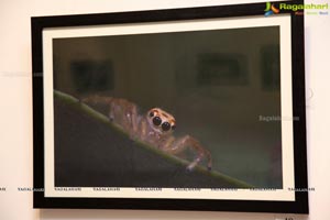 Hamstech Photography Exhibition