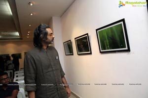 Hamstech Photography Exhibition