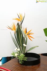 Ikebana Flower Arrangement Demonstration