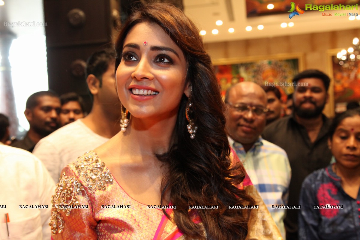 Shriya inaugurats Kancheepuram VRK Silks at Himayat Nagar