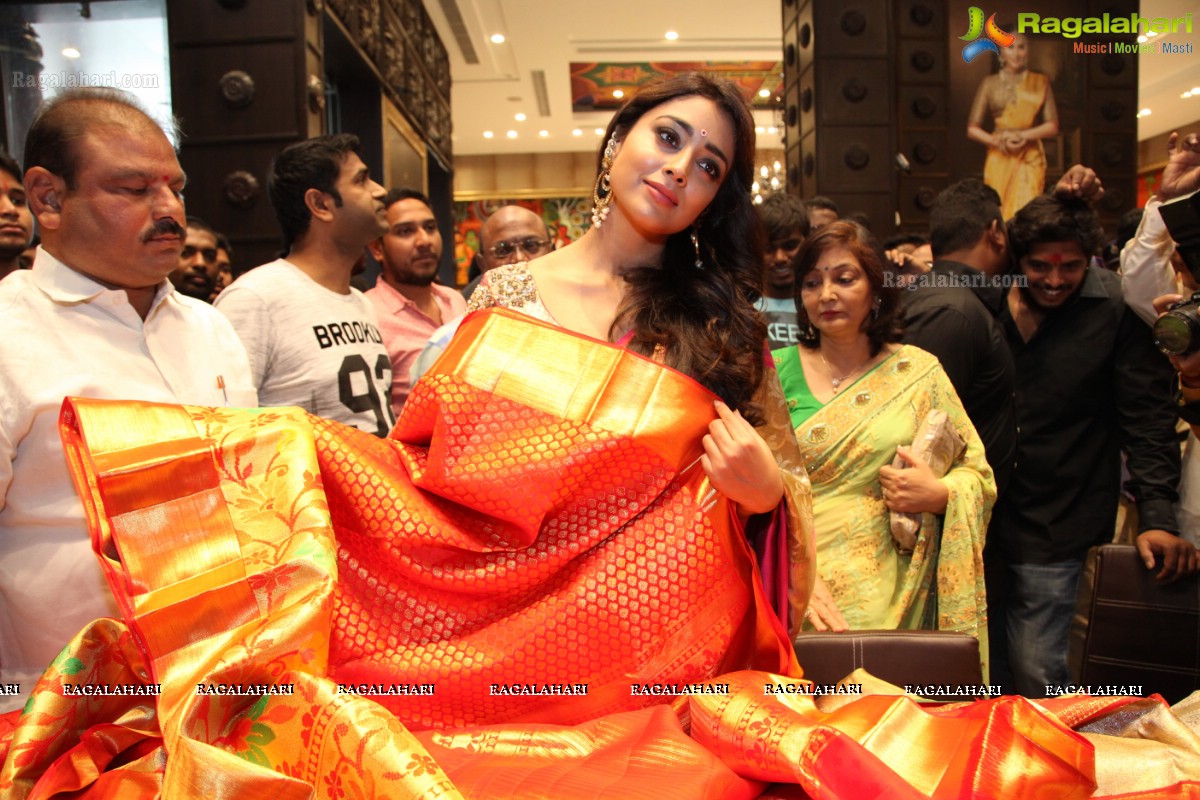 Shriya inaugurats Kancheepuram VRK Silks at Himayat Nagar