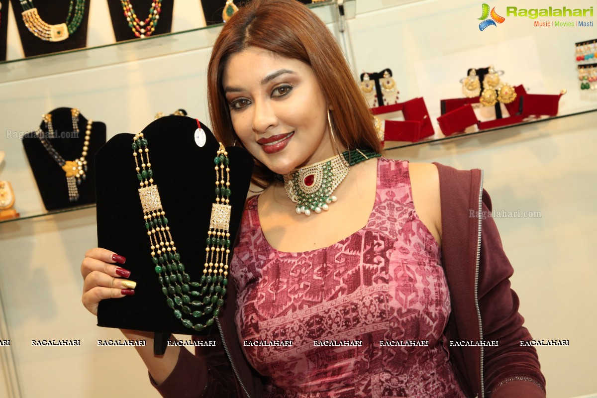 Payal Ghosh, Sai Akshatha and Vinnu Madipati at Hi-Life Luxury Exhibition, Novotel HICC