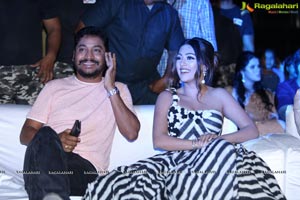 Naa Peru Surya Naa Illu India Pre Release Event