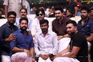 Rangasthalam Vijayotsavam Photos